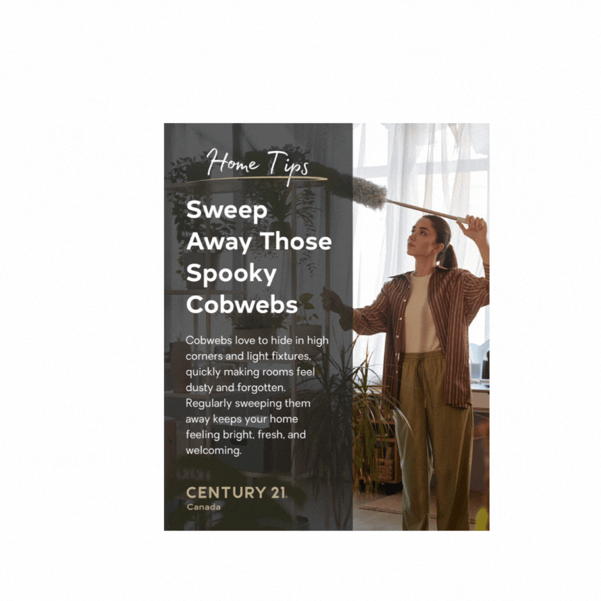 remove cobwebs at home